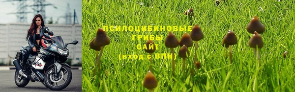 первитин Алзамай