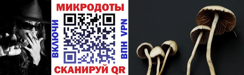 Псилоцибиновые грибы GOLDEN TEACHER  Купить  Азов 